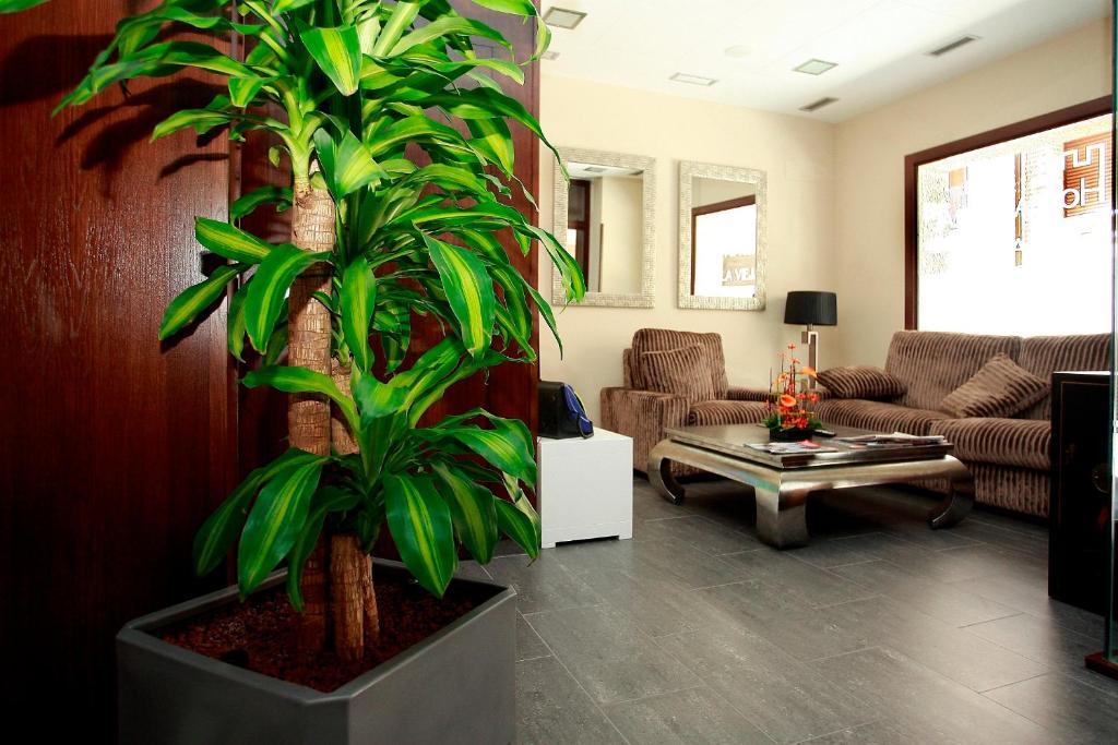 Hostal Rural Villa Vieja โอลีเต ภายนอก รูปภาพ